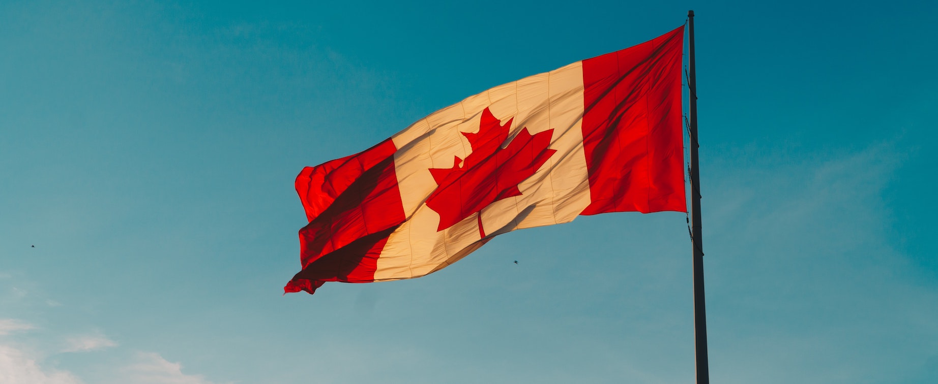 Why Drugs Are Cheaper In Canada And How To Buy Them 